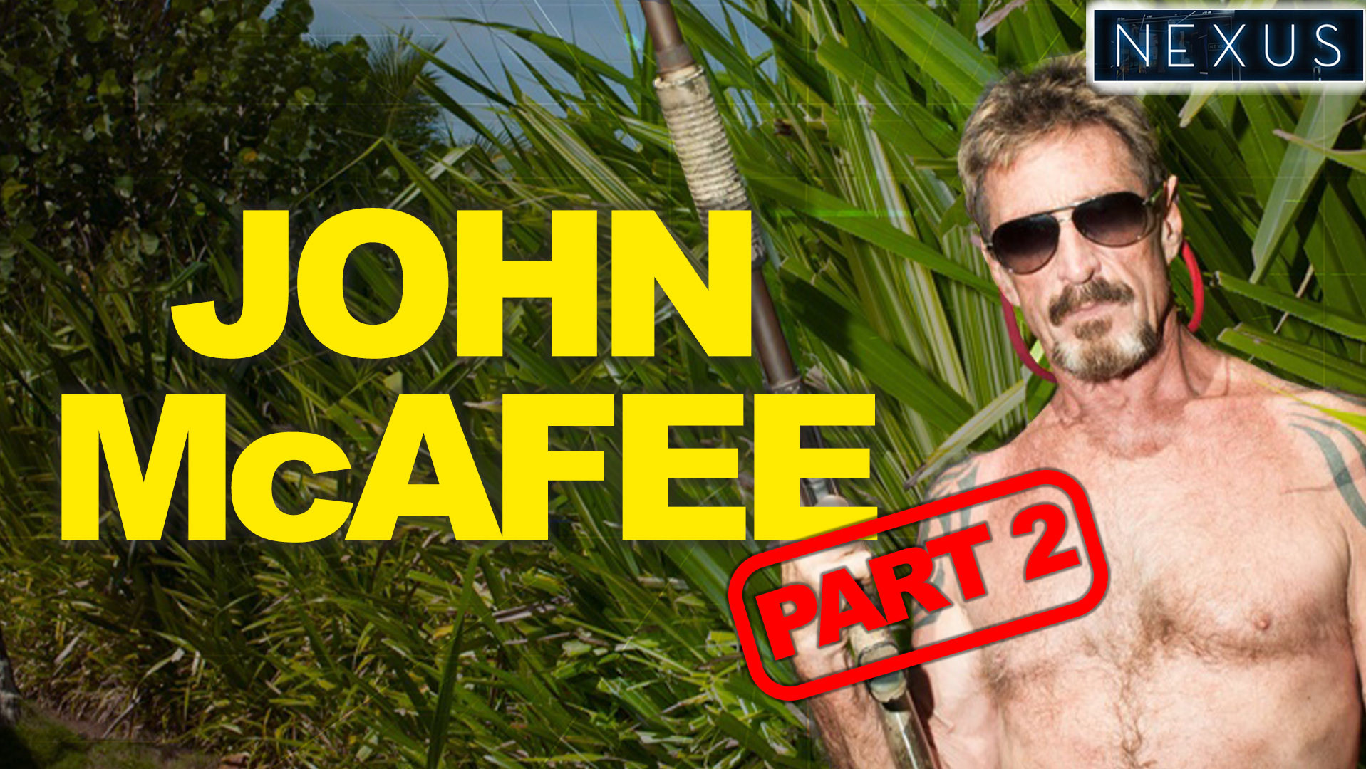 John McAfee reveals Bitcoin inventor plus - not Jeffrey Epstein