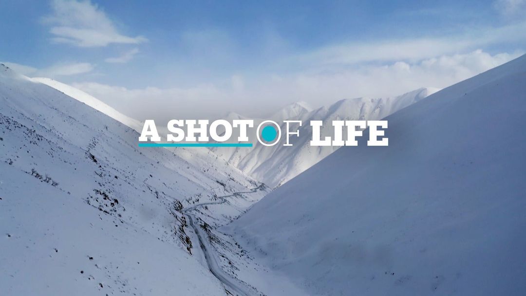 Focal Point: A Shot of Life