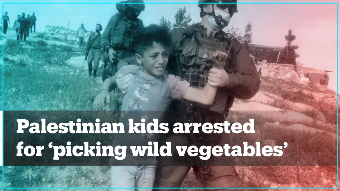 Israeli soldiers arrest Palestinian kids for 'picking wild vegetables'