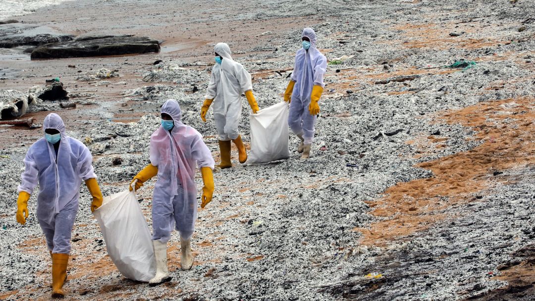 Sri Lanka faces environmental catastrophe from ship fire | Money Talks