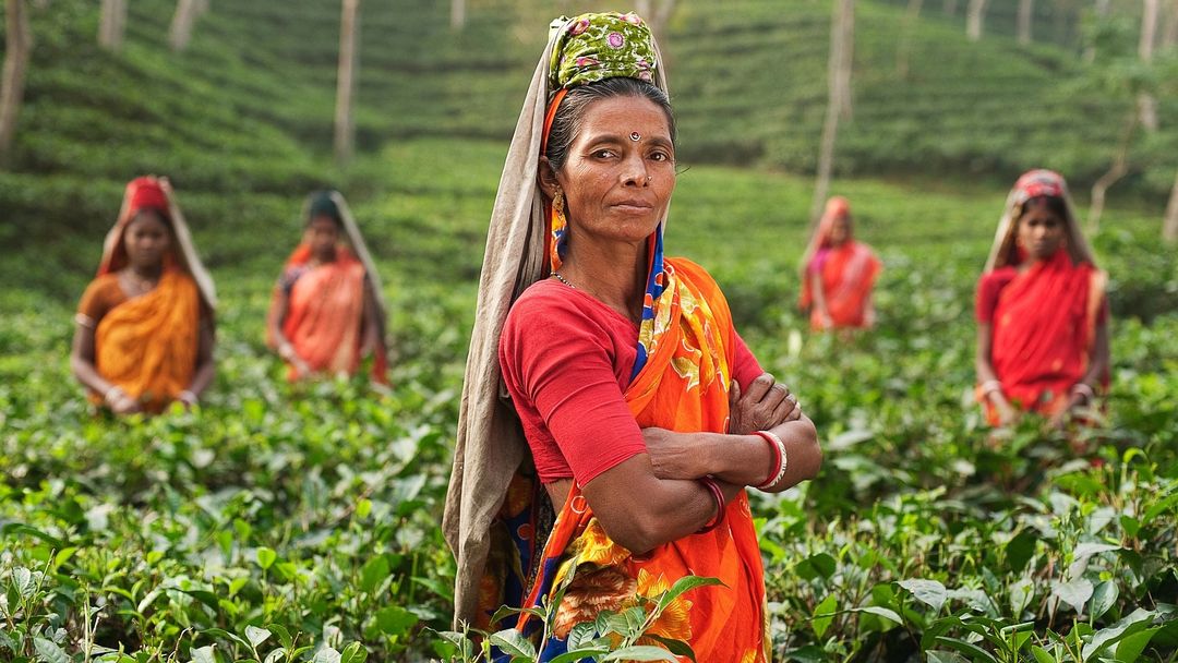 Women in India's Western Ghats fight to save mountain range | Money Talks
