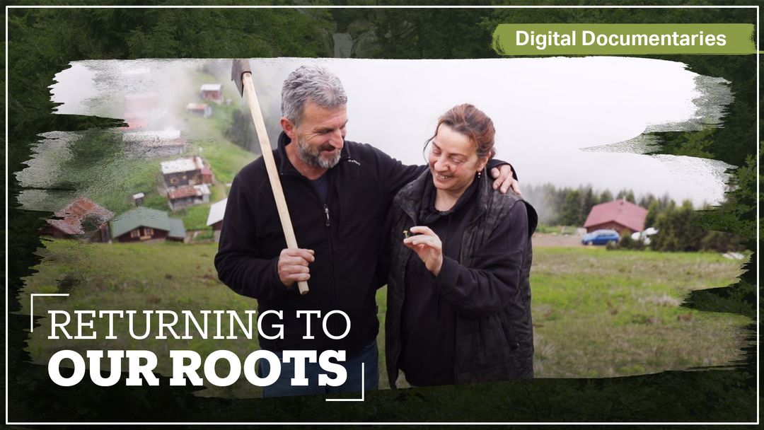 Following our hearts, returning to our roots