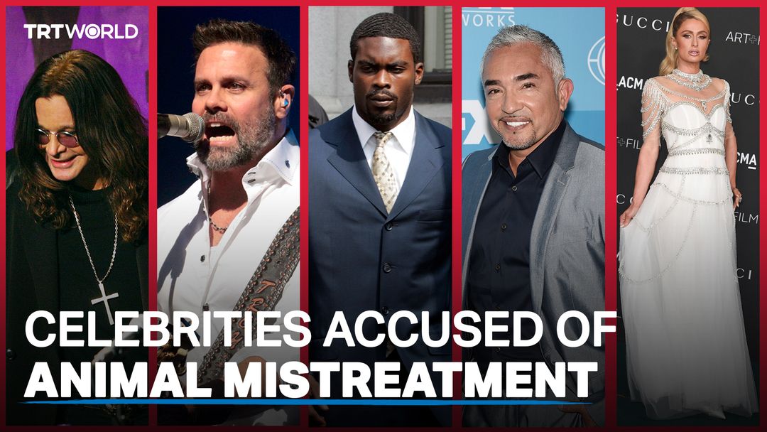 Celebrities and their alleged animal mistreatment