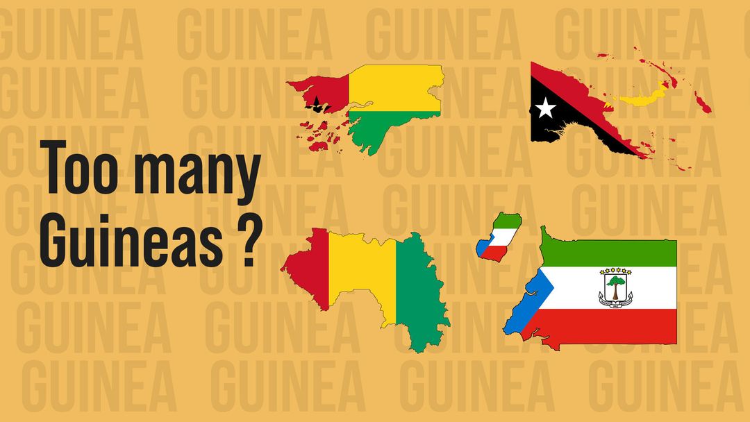 Why so many Guineas ?