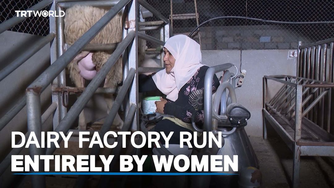 Gaza dairy factory run entirely by women