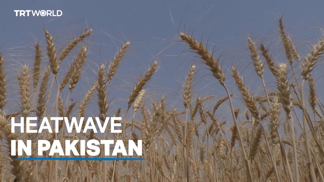 Heatwave brings Pakistan to standstill