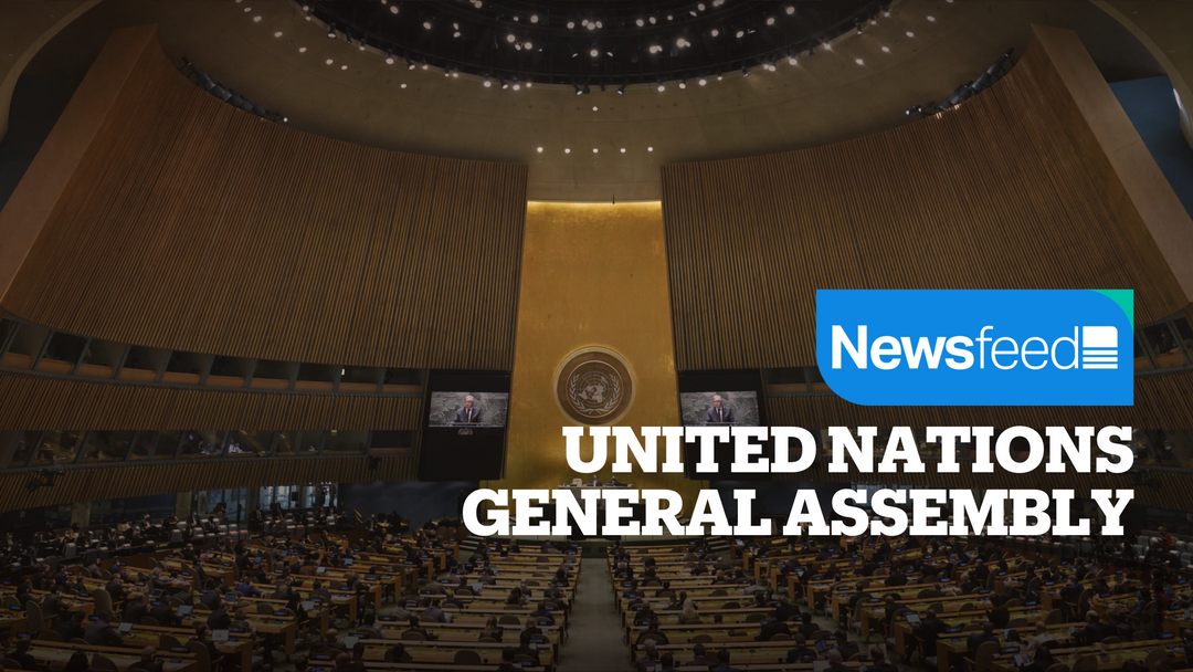 United Nations General Assembly