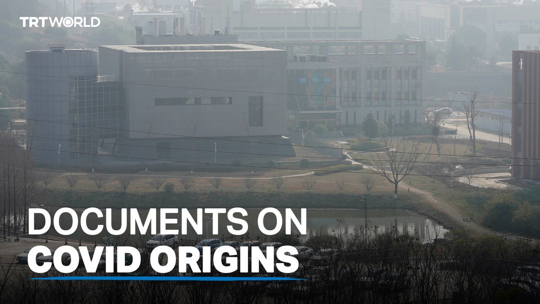 Biden to consider de-classifying information on Covid-19 origins