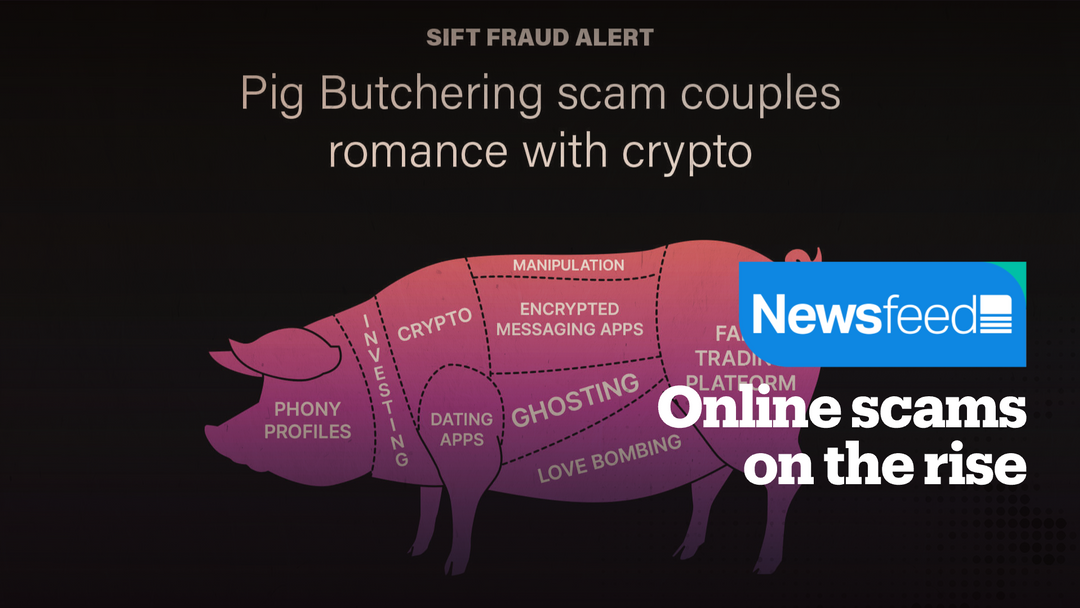 Online scams on the rise