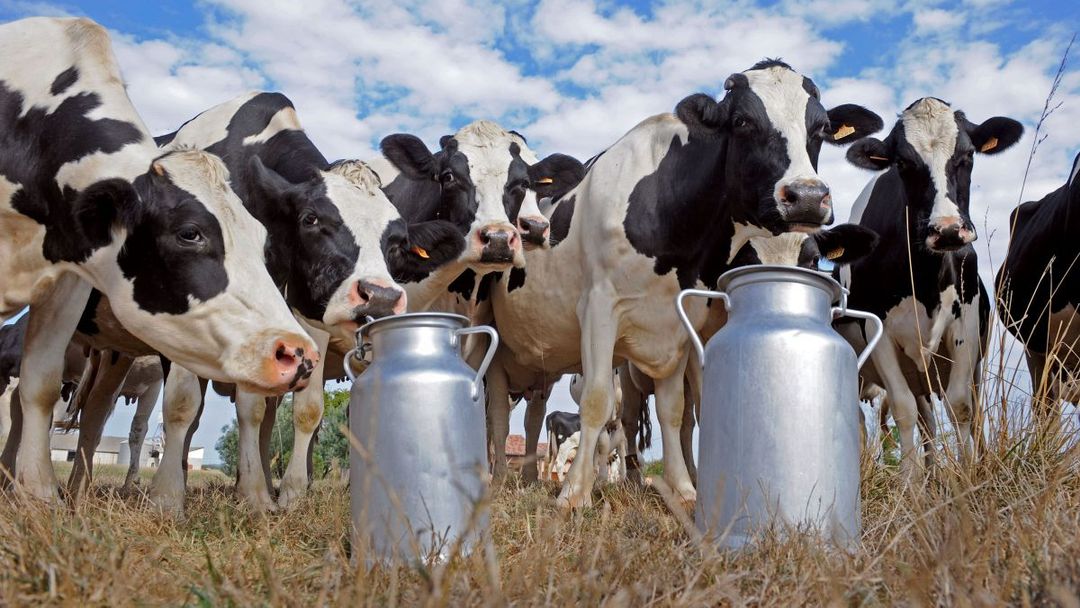 Turkey’s agriculture sector looks to modernize | Money Talks