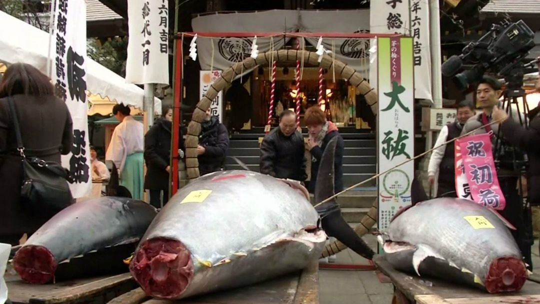 Money Talks: Japan’s Tsukiji fish market holds final tuna auction