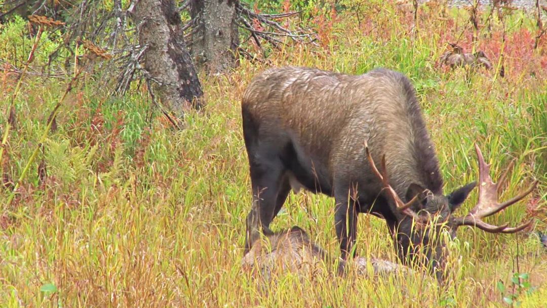 Roundtable: Do the benefits of conservation outweigh the costs?