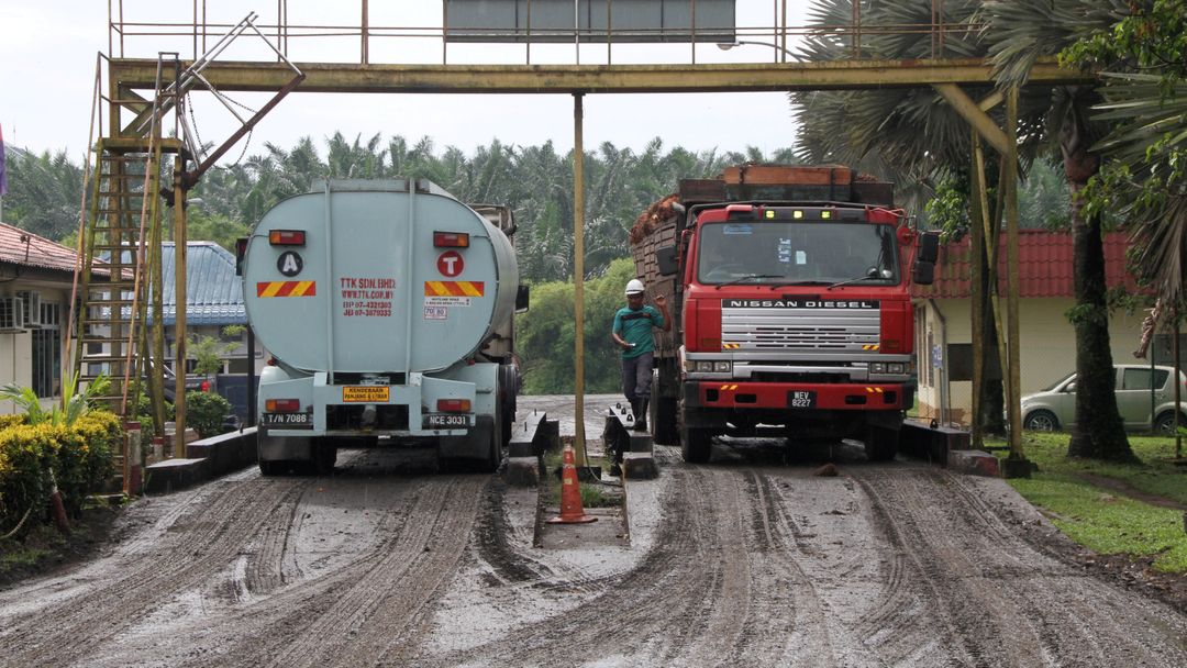 Money Talks: EU parliament bans use of palm oil in biofuels