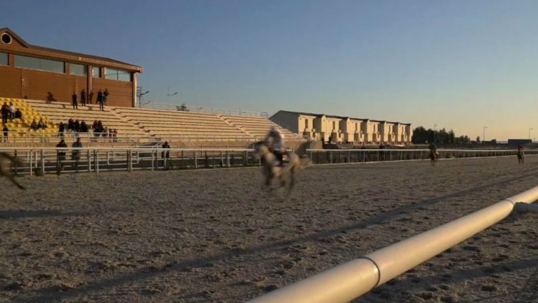 Off to the Races: Horce racing growing in popularity