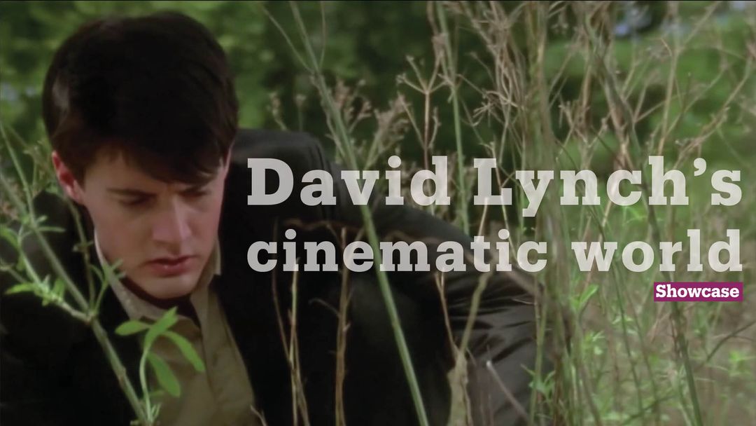 David Lynch: A surrealist social observer | Cinema | Showcase
