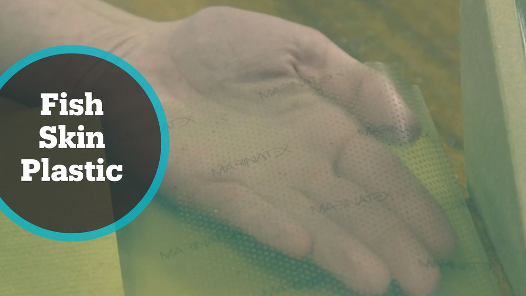 James Dyson Award Winner: UK designer invents plastic made with fish skin