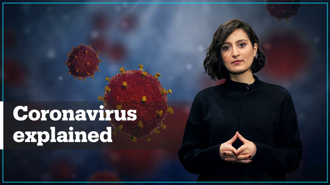 Wuhan coronavirus explained
