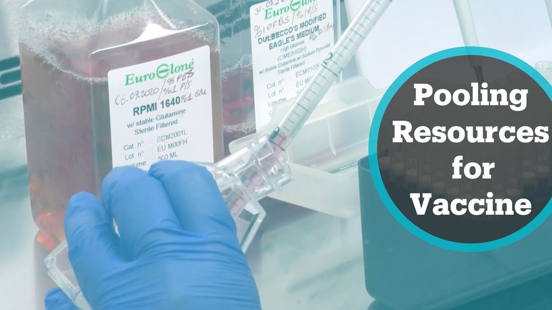 Universities in Ankara pool resources to develop Covid-19 vaccine