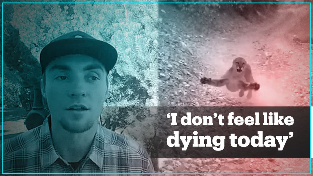 'Cougar Guy' recounts his encounter with a mountain lion