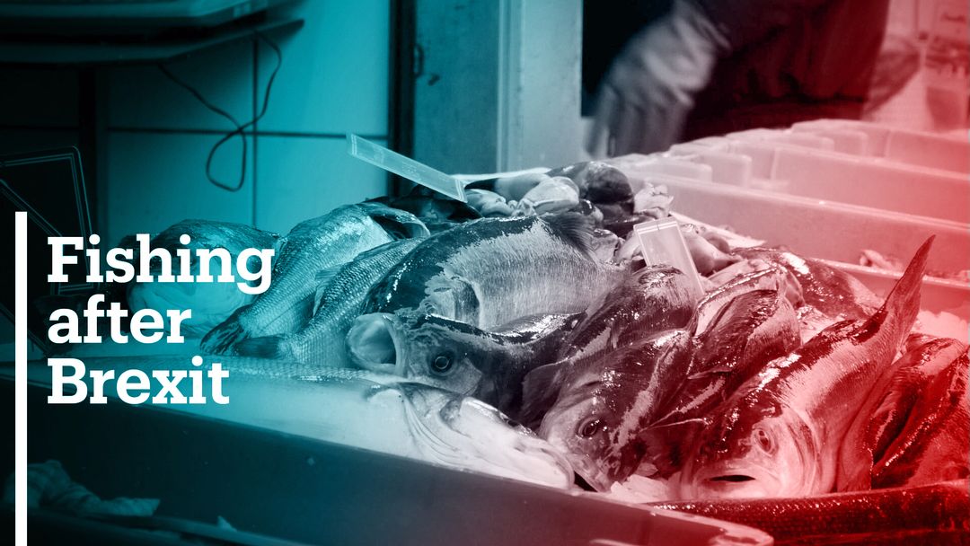 Fishing rights after Brexit