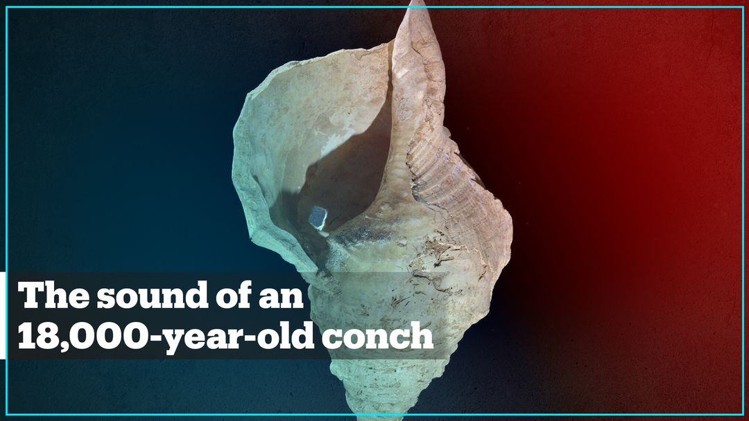 The sound of an 18,000-year-old conch, the oldest shell instrument