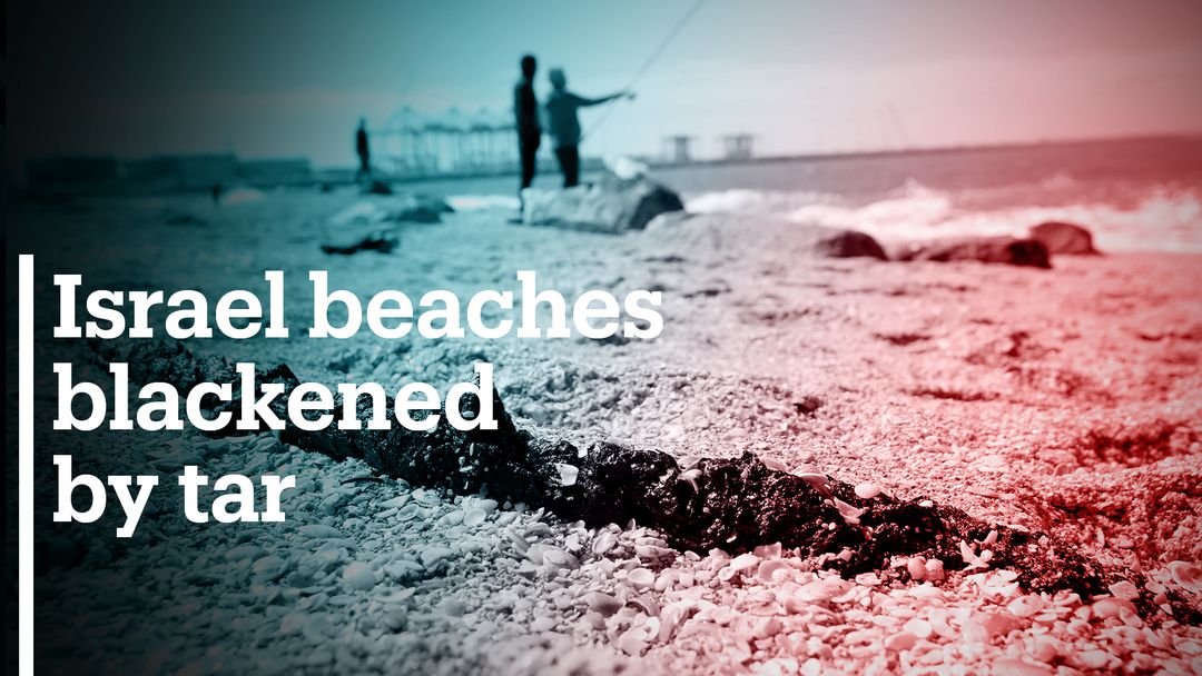 Israel faces one of biggest ecological disasters in decades