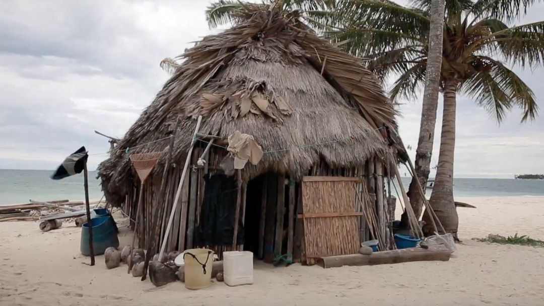 Focal Point: Losing Paradise