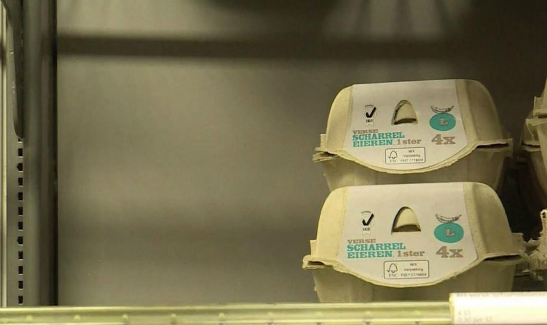 Money Talks: European insecticide scandal grows