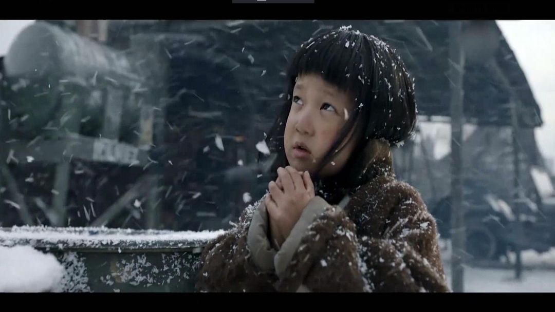 Film critic Ali Arikan on foreign film Oscars