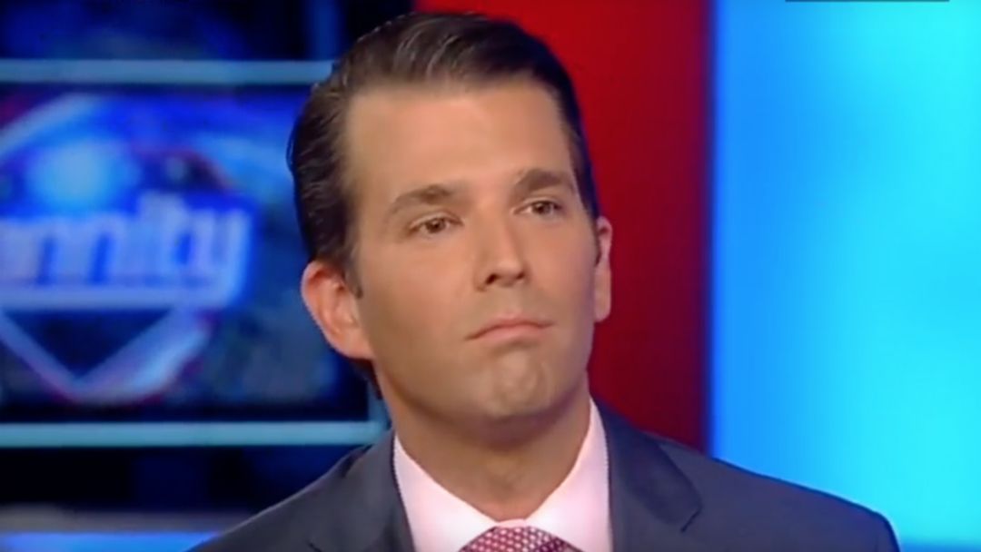 Trump Jr's Twitter fallout