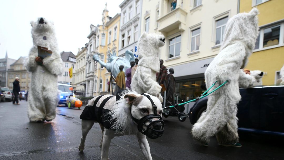 US climate isolation