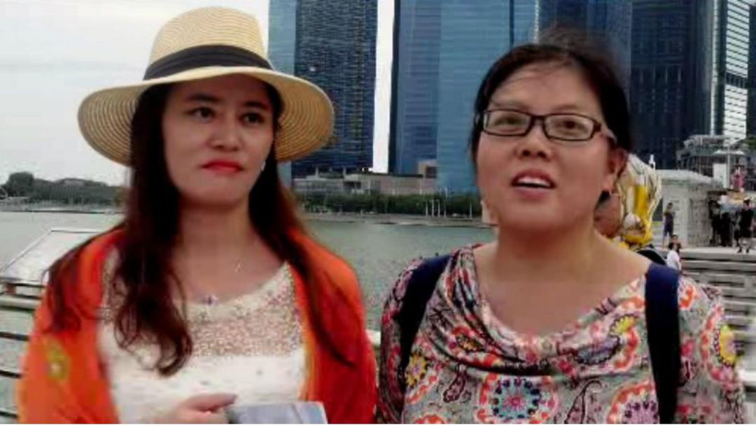 Singapore Tourism: Chinese chase Tibetan antelopes in Singapore