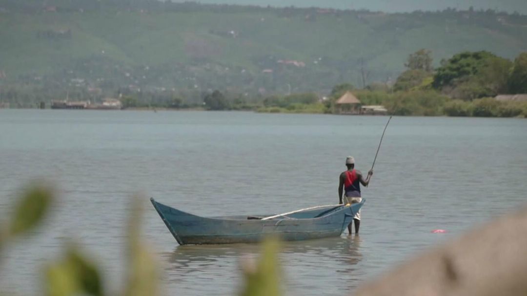 Kenya Election: Voting in four areas delayed indefinitely