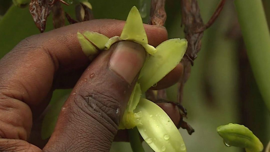 Uganda Smart Farming: Methods to mitigate climate change effects