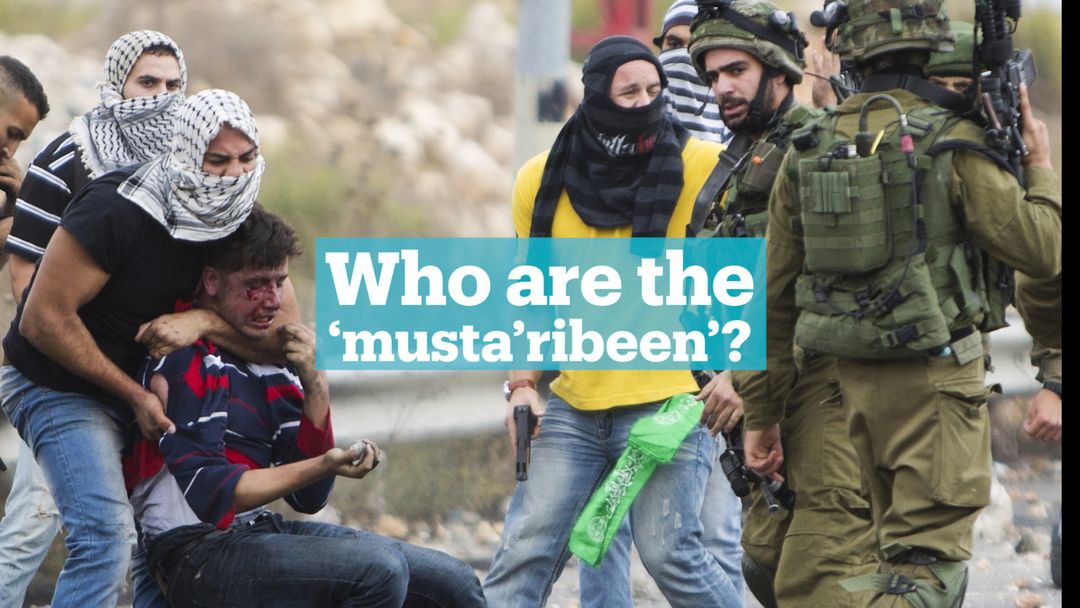 Who are the pseudo Palestinians  called ‘mustaribeen’?