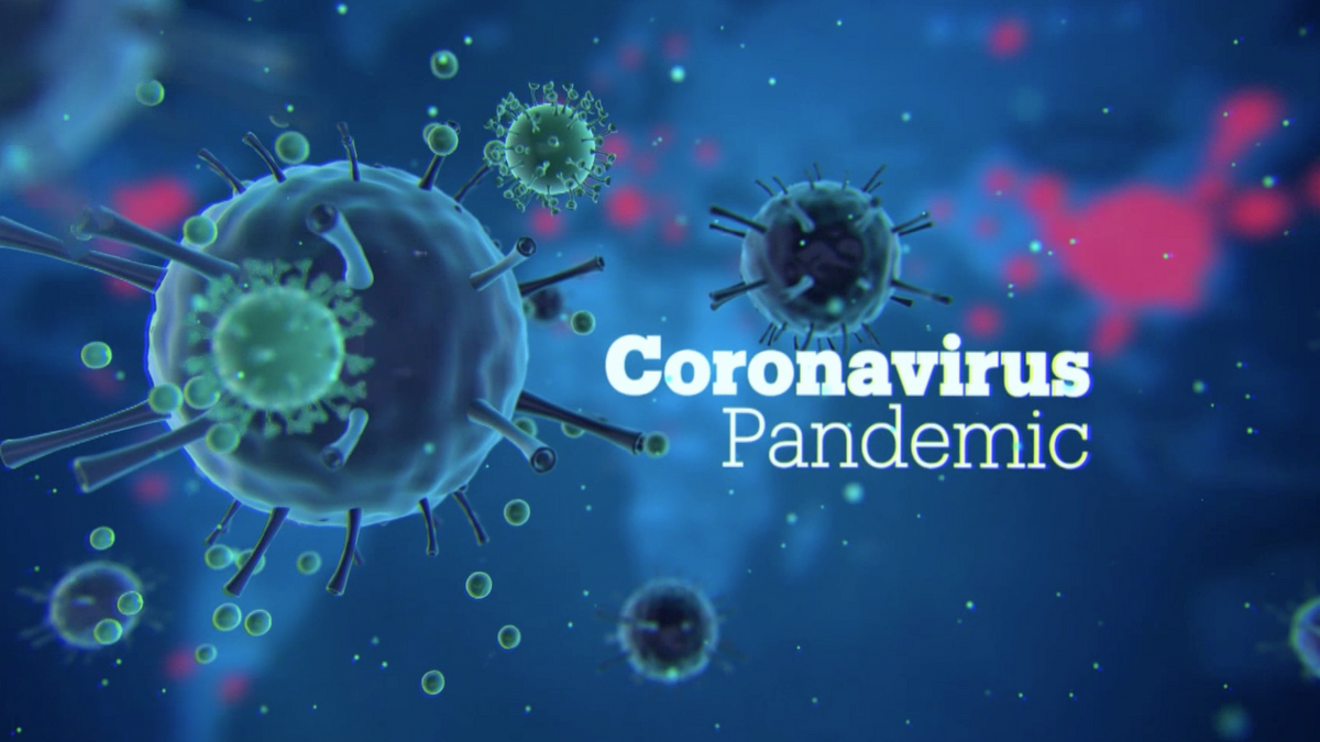 Coronavirus pandemic and WHO - Focal Point