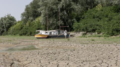 Countries Growing Over Two Third Of World S Food Face Extreme Heat