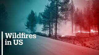 California's largest fire torches homes