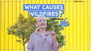 Climate crisis: What to do about wildfires I Not News But Life I Episode 12