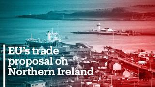 EU to propose easing checks on British products to Northern Ireland