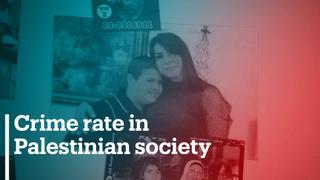 Does Israel neglect crime in Palestinian society?
