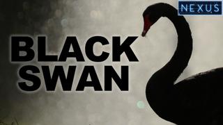 Warning: Black Swan event could wipe out your investments!