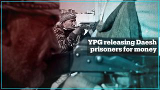 YPG terror group releasing Daesh prisoners for money