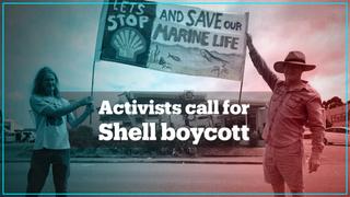 Activists in South Africa call on government to halt Shell’s seismic survey