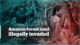 Protected Amazon forest land invaded and destroyed in Brazil