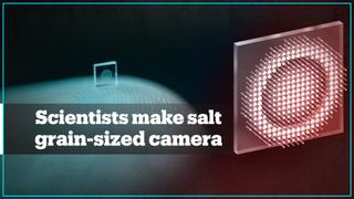 Scientists make microcamera the size of a grain of salt