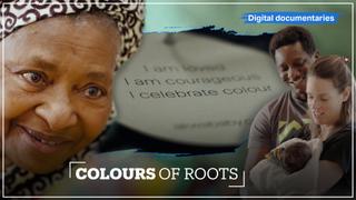 Colours of Roots