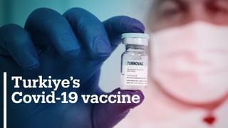 Turkiye launches domestic Covid-19 vaccine