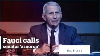 Hot mic moment: Fauci calls senator ‘a moron’ after heated exchange