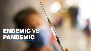 What does transitioning from pandemic to endemic mean?
